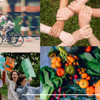 Collage von fahrradfahrenden Menschen, Menschen, die sich in Sternform die Hand geben, ein Windrad, Umweltaktivist*innen und Gemüse